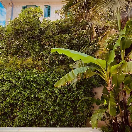 公寓 High End Walk To A Beach Property *